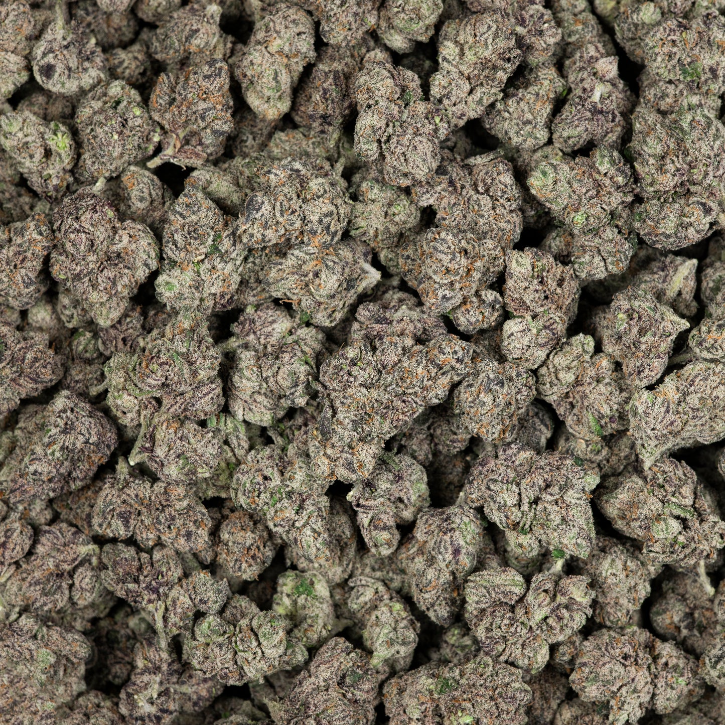 Baggio Gelato Exotic THCA Indica Flower (Indoor)