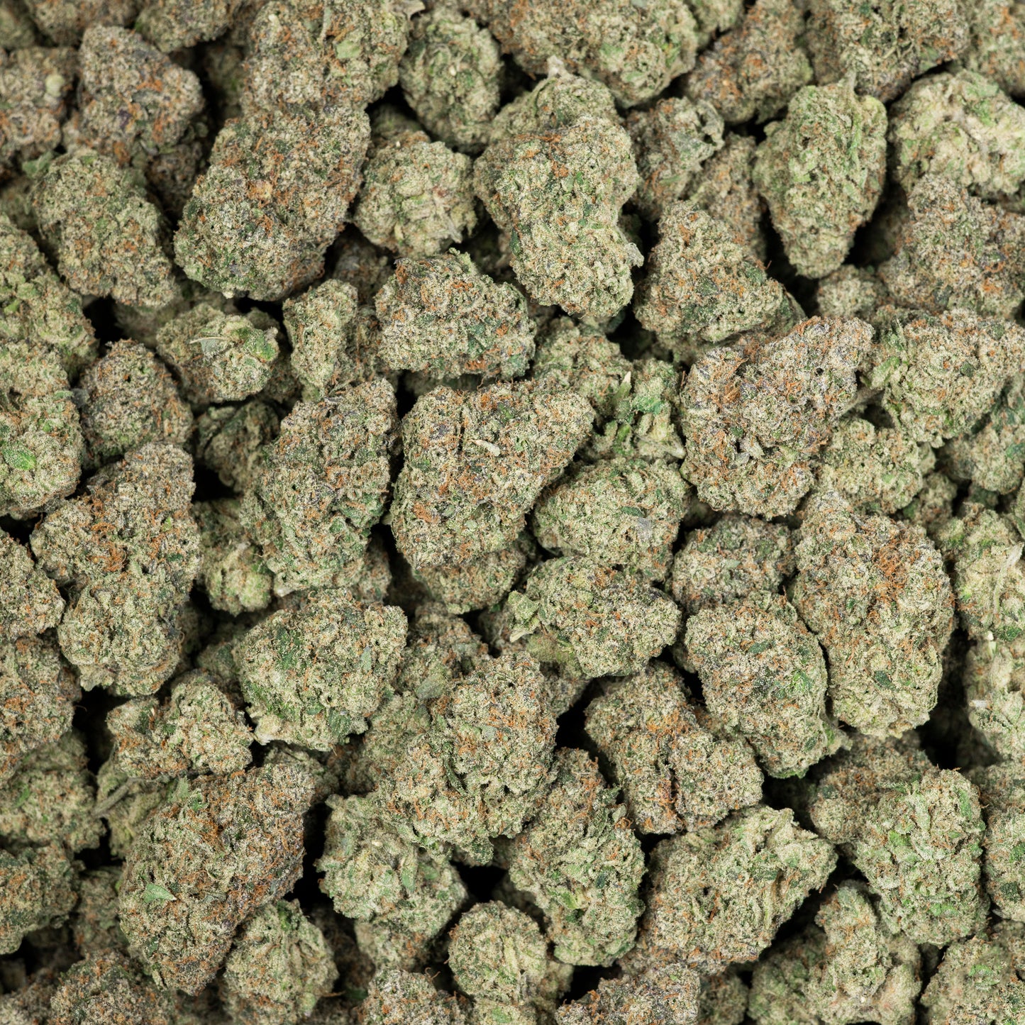Blueberry Cheesecake AAA THCA Flower (Indoor)