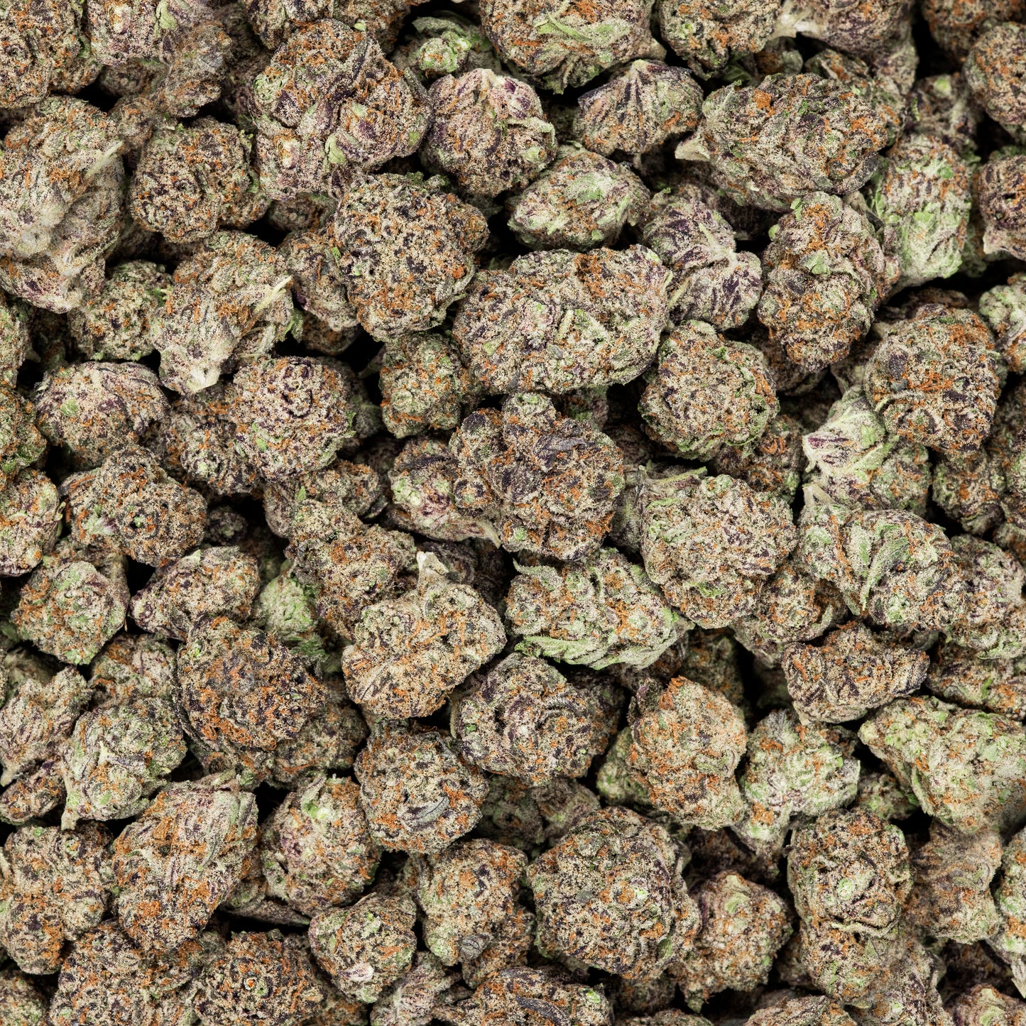 Blueberry Pancakes THCA Flower (Indoor)