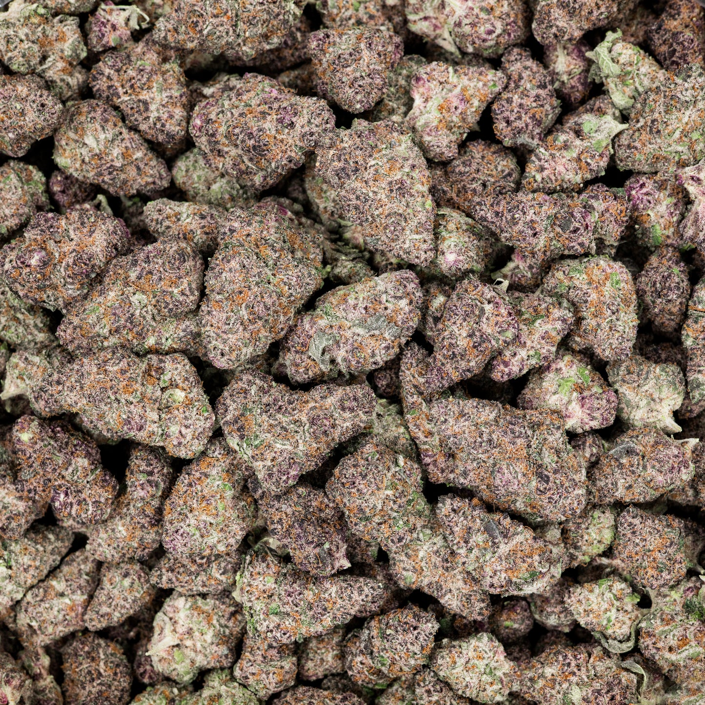 Cherry Sunrise THCA Flower (Indoor)