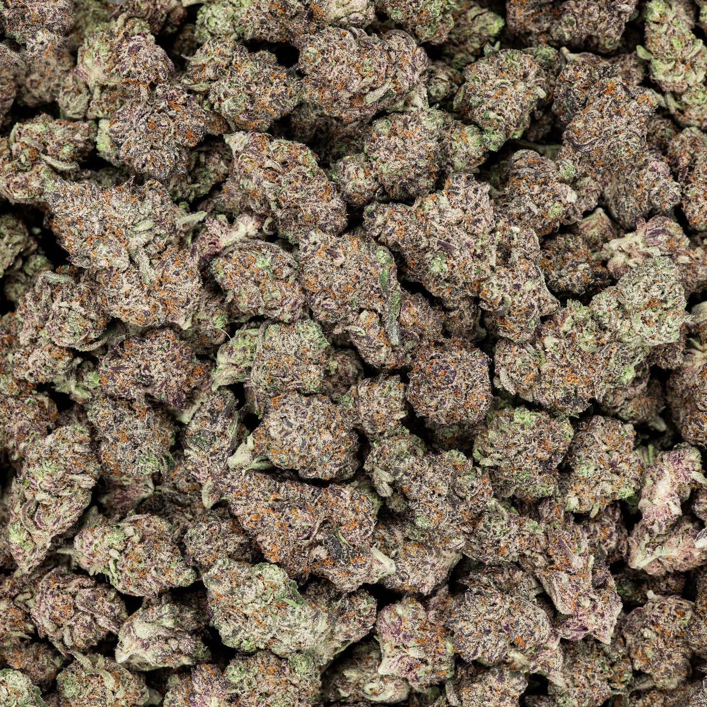 Devil's Gelato THCA Pre Rolls 14 Pack (Indoor)