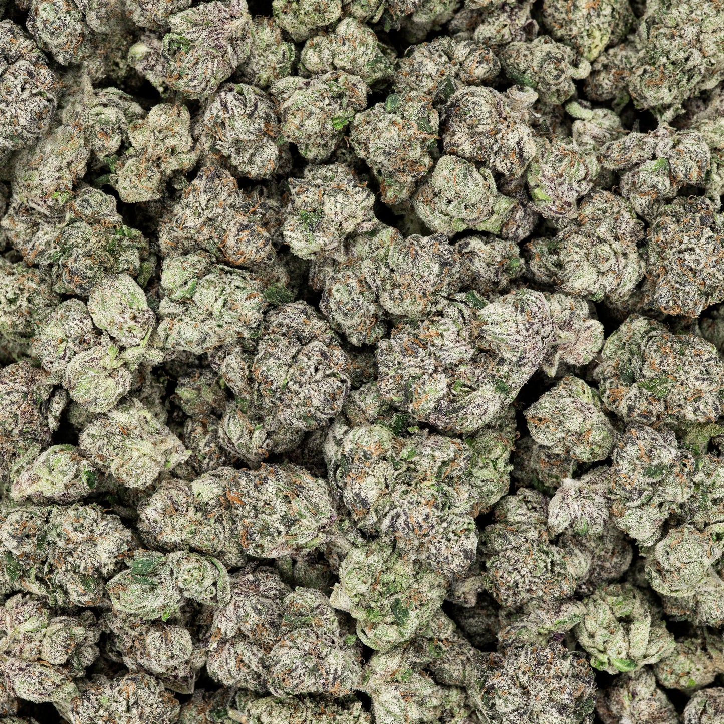 Frosted Runtz THCA Flower (Indoor)