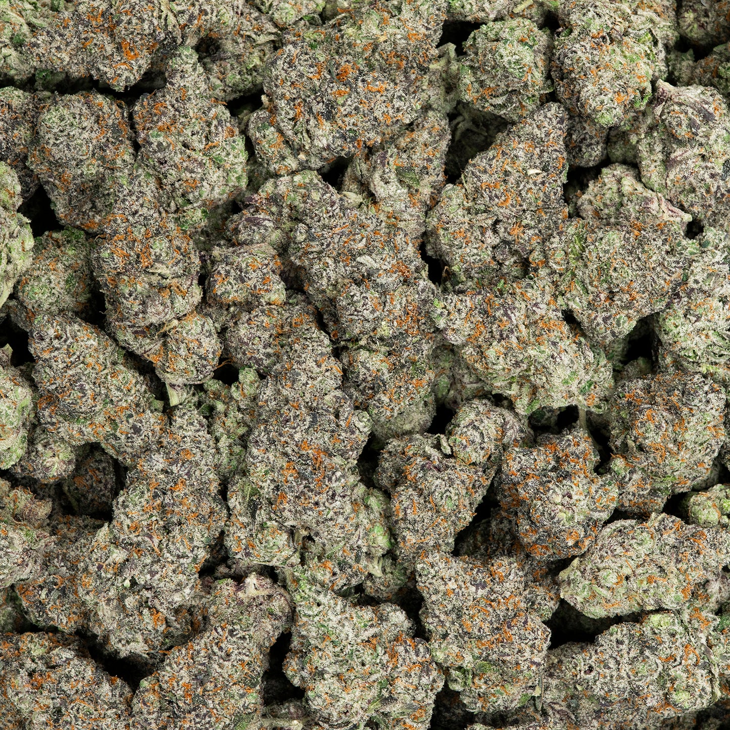 Glitterati THCA Flower (Indoor)