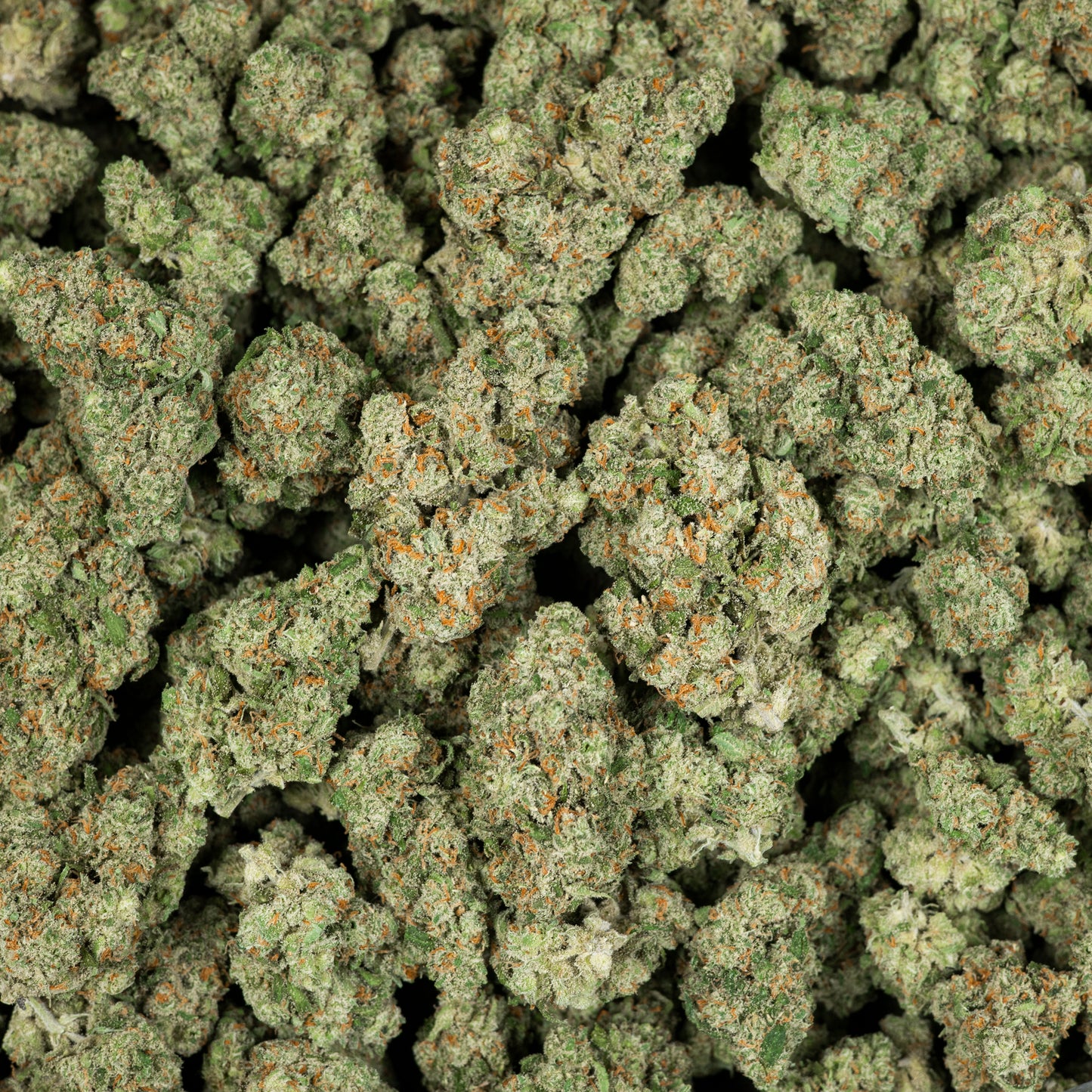 Jack Exotic THCA Flower (Indoor)