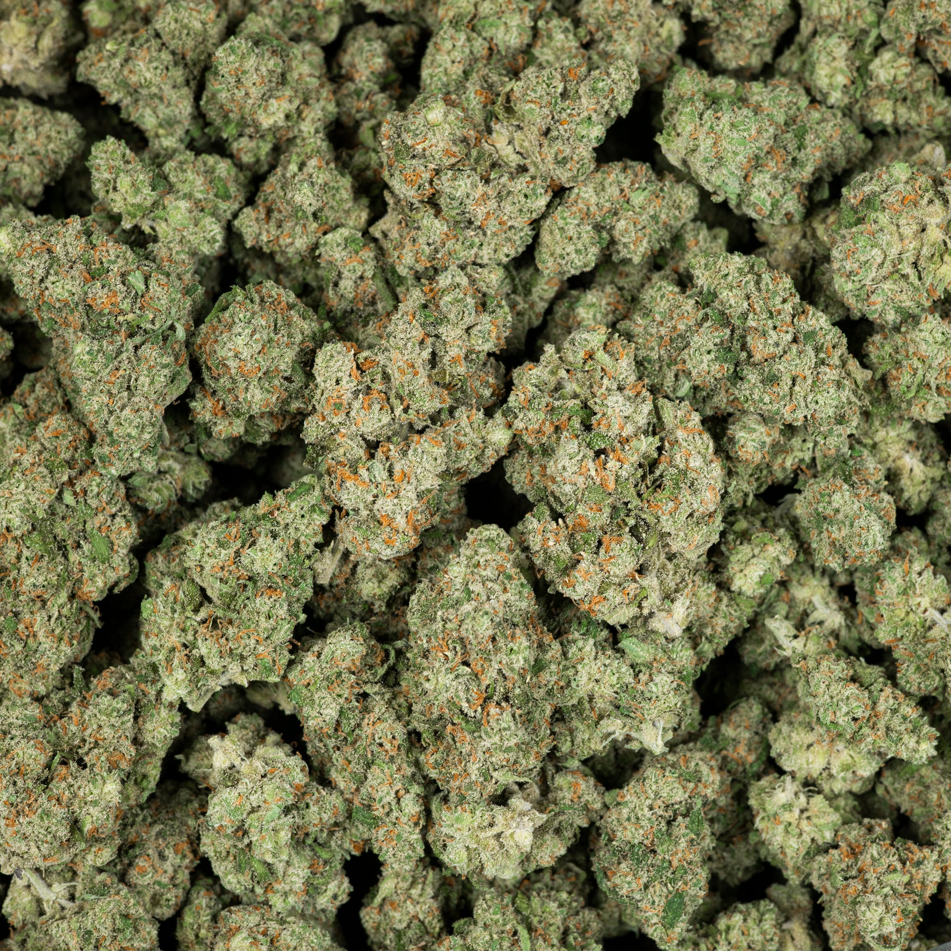 Jack Exotic THCA Flower (Indoor) 3