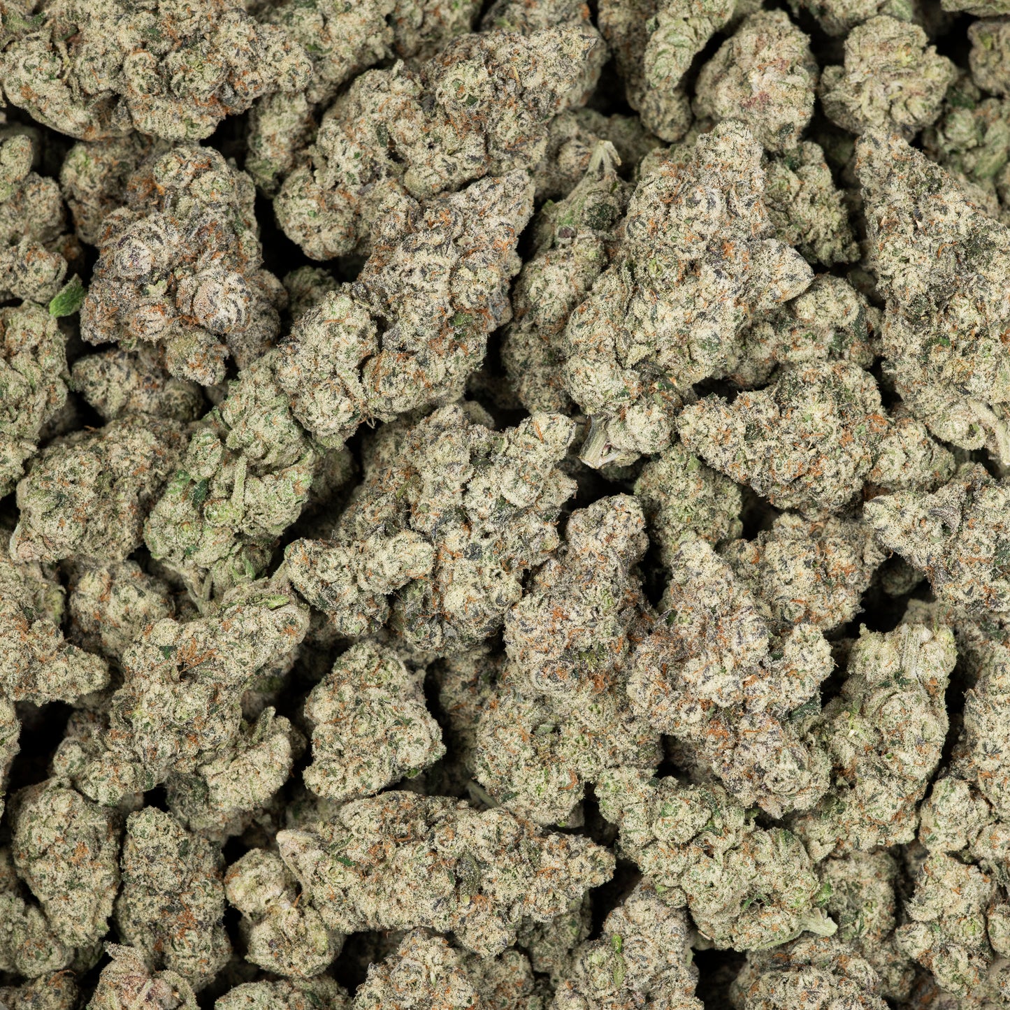 Jungle Driver Exotic THCA Flower (Indoor)