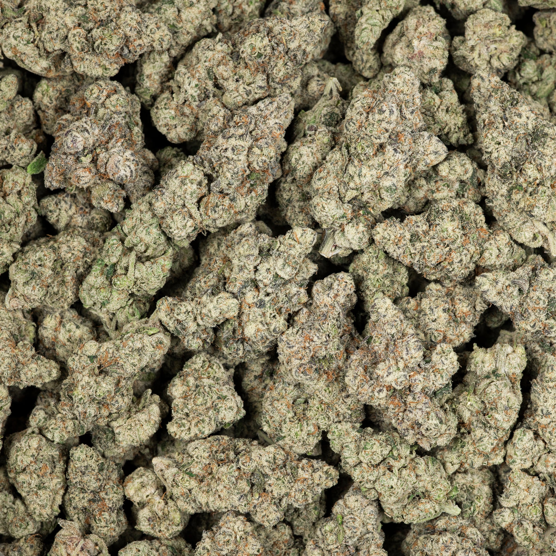 Jungle Driver Exotic THCA Flower (Indoor) 3