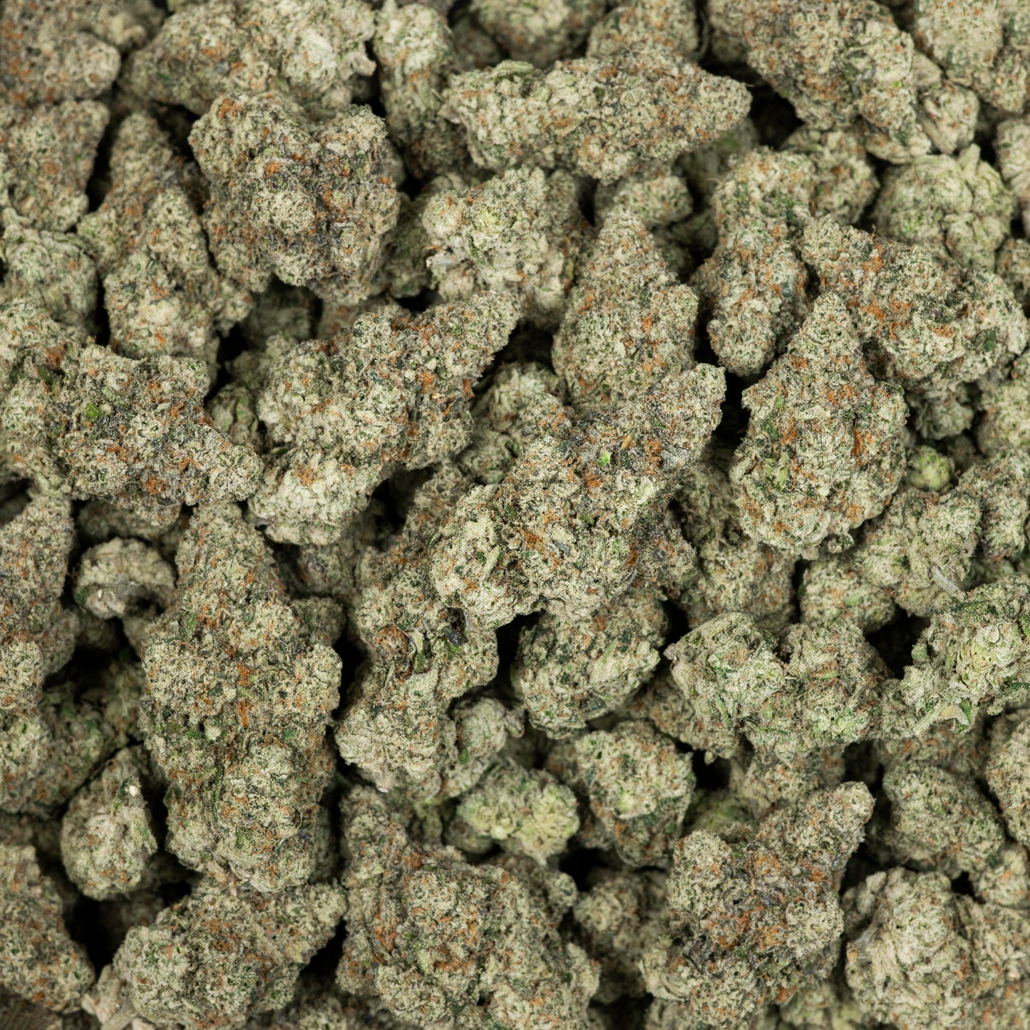 Peach Rings Exotic THCA Flower (Indoor)