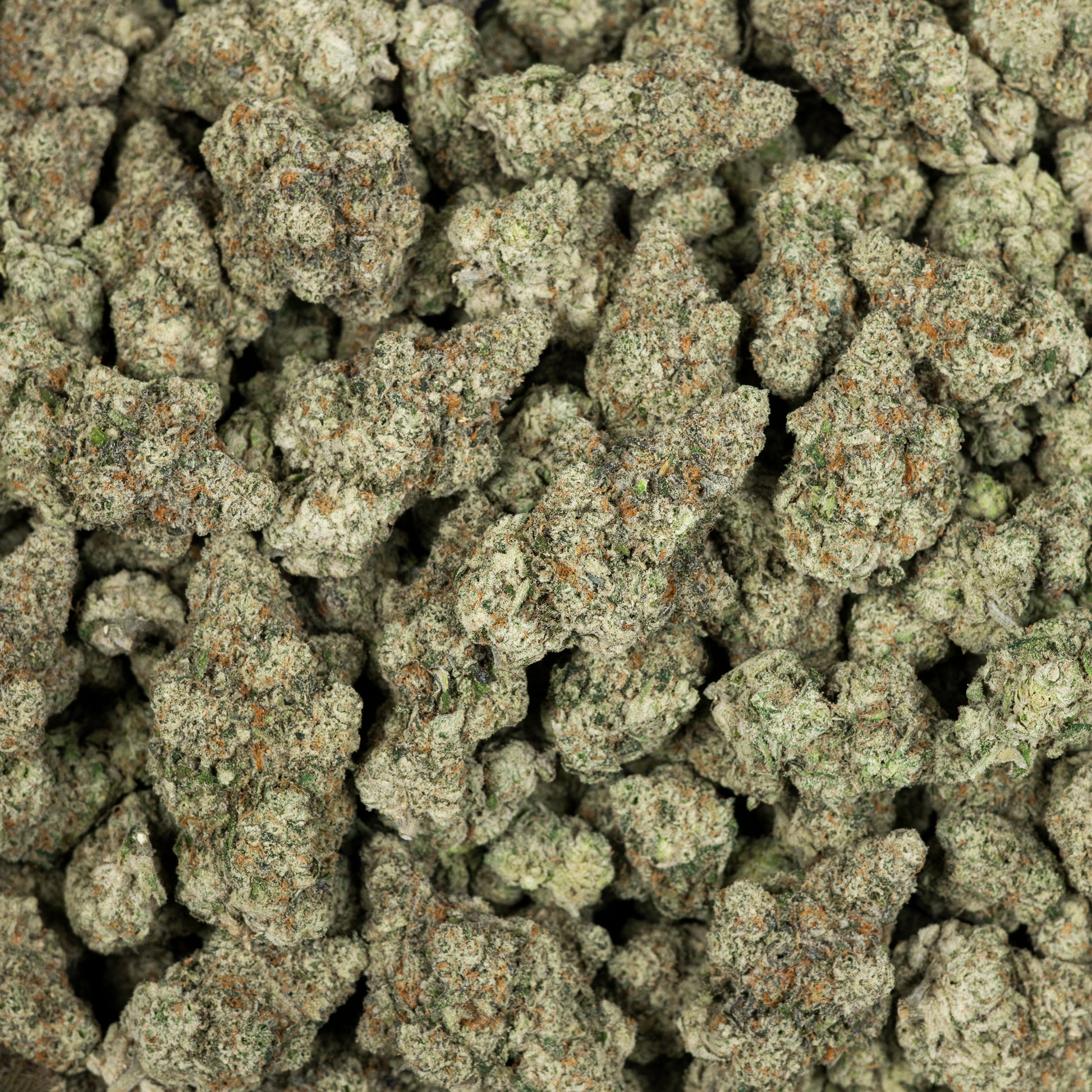 Peach Rings Exotic THCA Flower (Indoor) 3