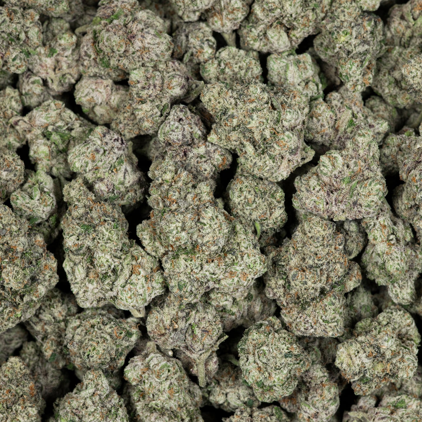 Pink Rose Exotic THCA Flower (Indoor)