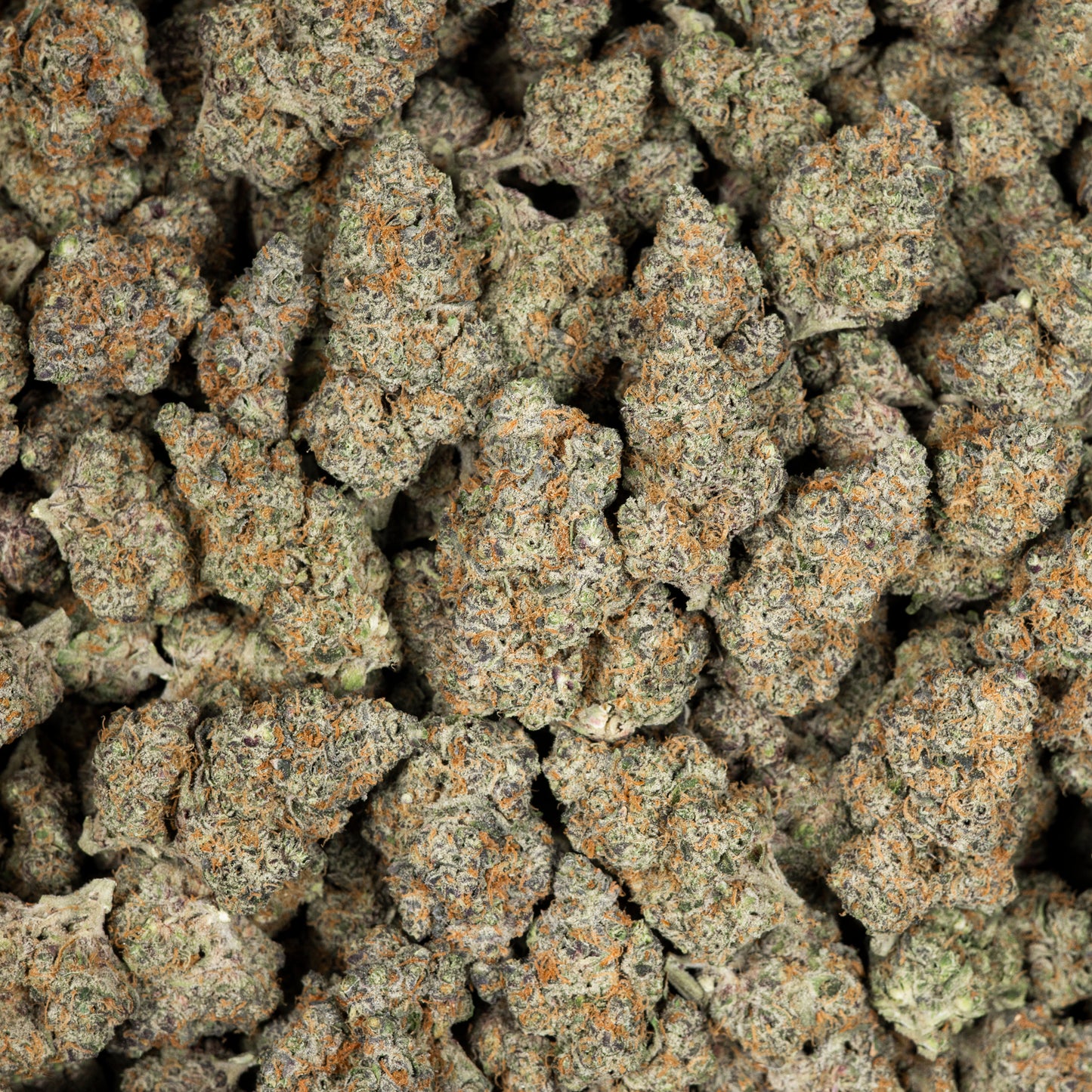 Pink Warheads AAA THCA Flower (Indoor)