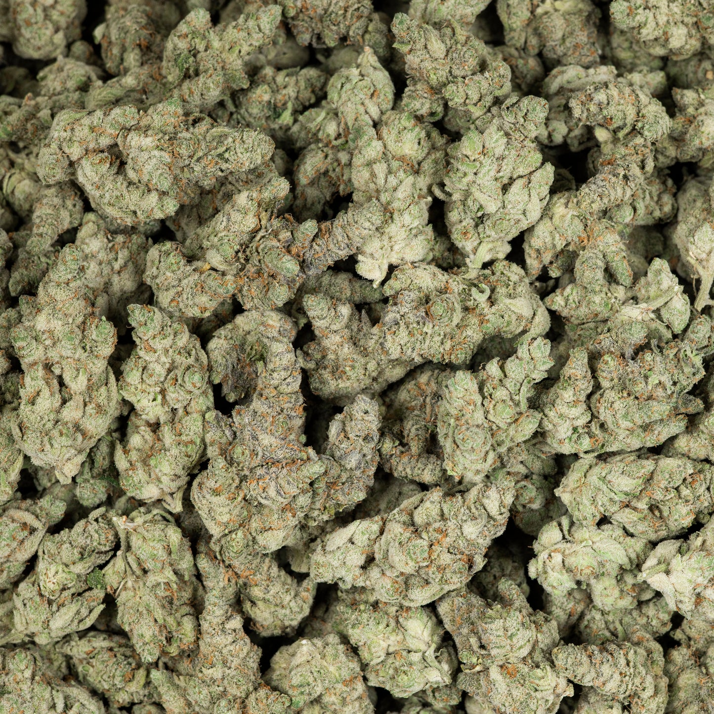 White Gummies AAA THCA Flower (Indoor)
