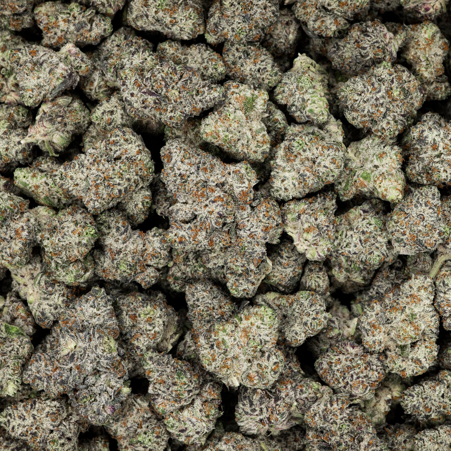 White Truffle THCA Flower (Indoor)