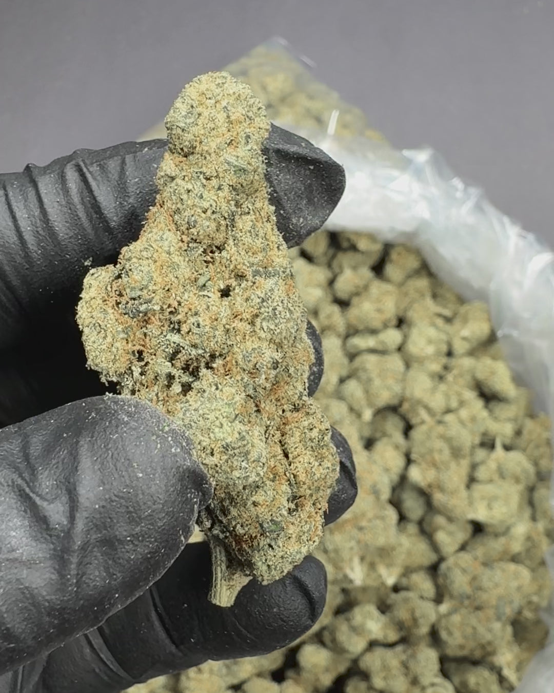 Citrus Smoothie AAA THCA Flower (Indoor) 2