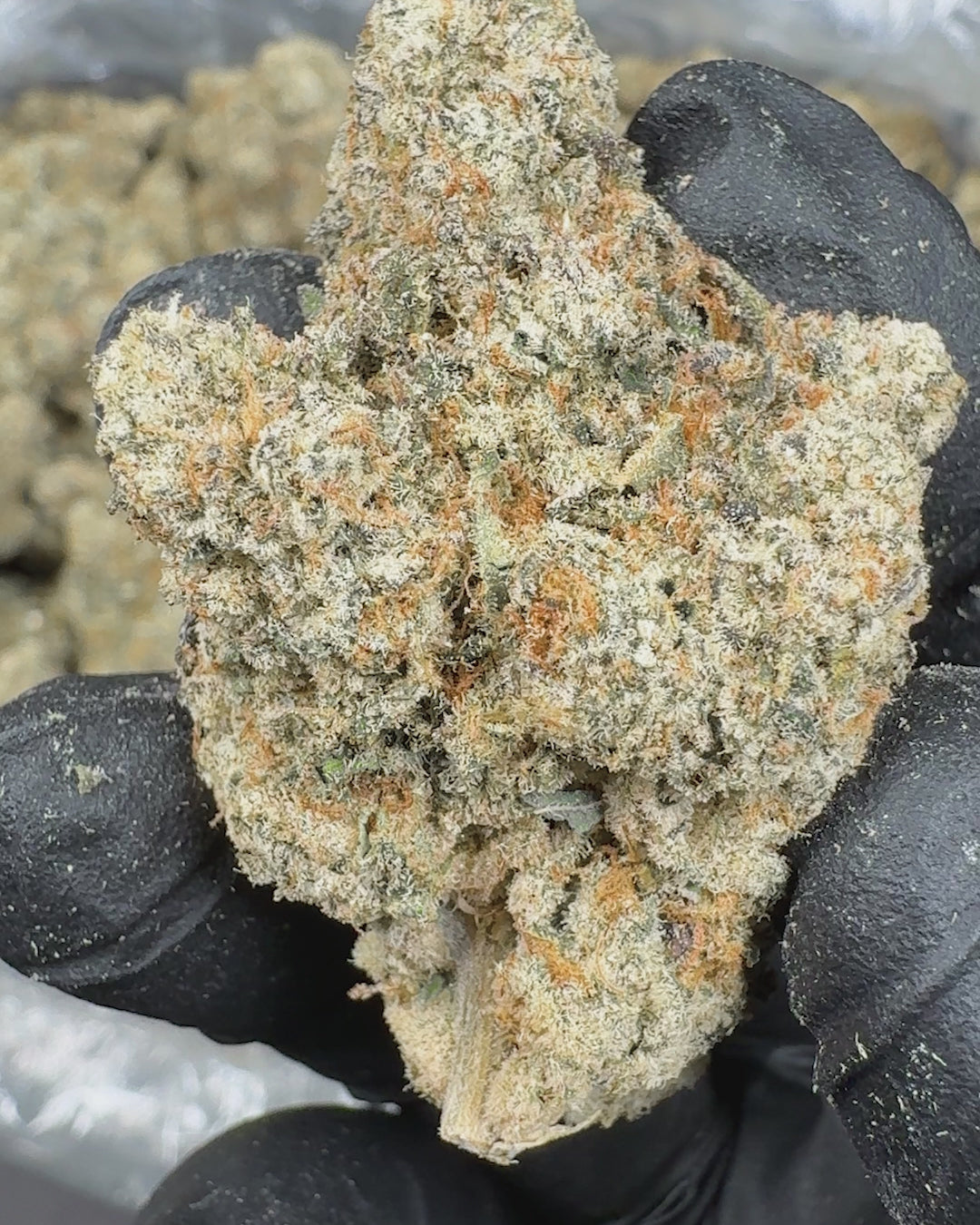 Peach Rings Exotic THCA Flower (Indoor) 2