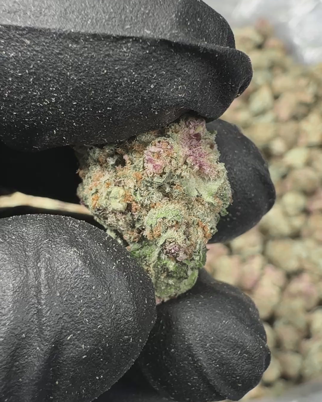 Cherry Sunrise Bulk THCA Flower Small Buds (Indoor) 2