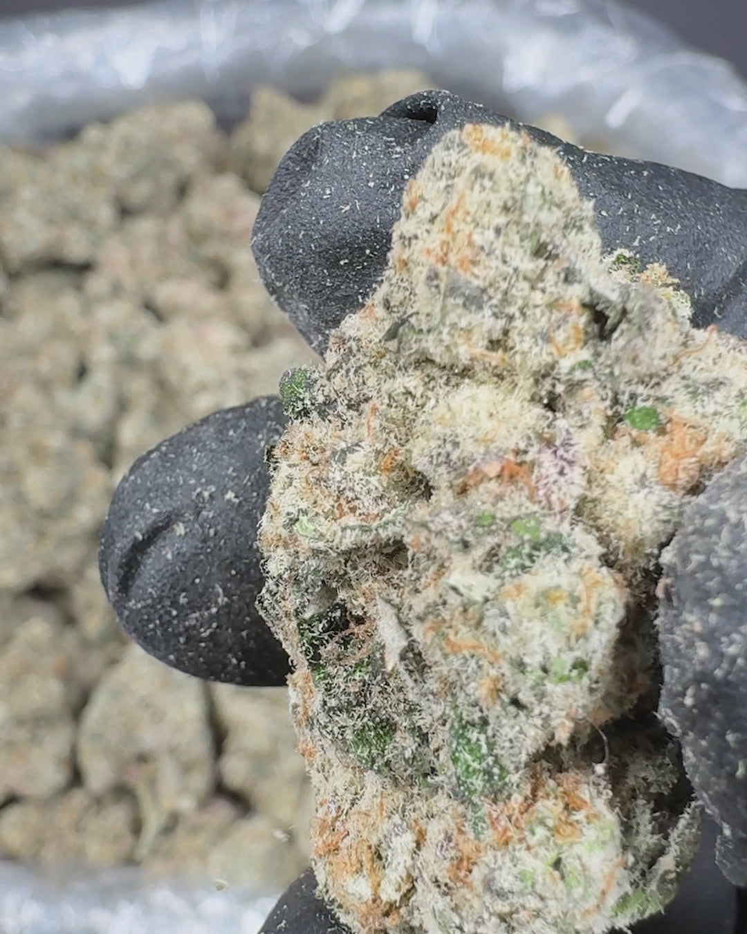 Pink Rose Exotic THCA Flower (Indoor) 2