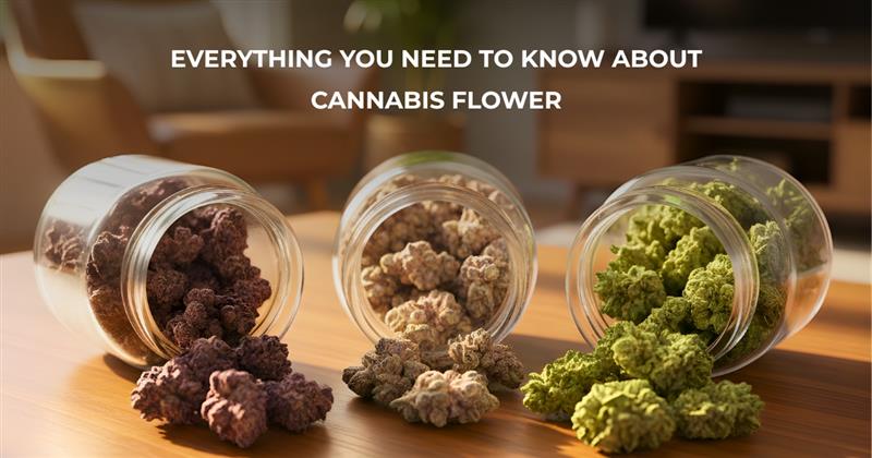 What Is Cannabis Flower? Types, Uses, and Consumption Methods