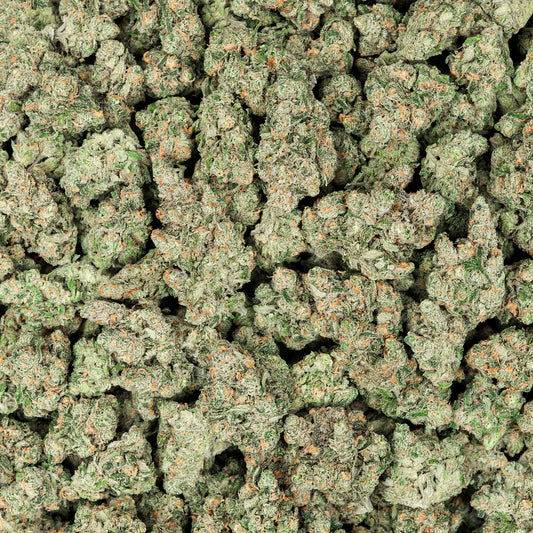 Blue Dream THCA Flower (Indoor)