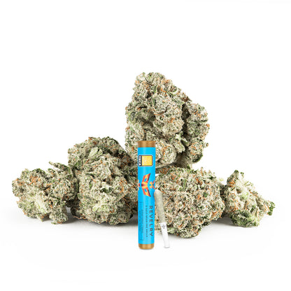 Blue Dream THCA Pre Rolls 2 Pack (Indoor)