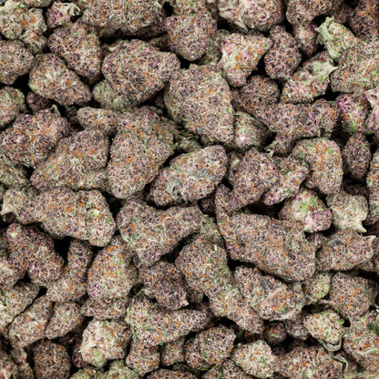 Cherry Sunrise THCA Flower (Indoor)