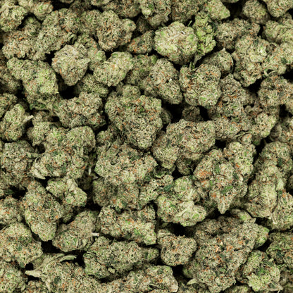 Citrus Smoothie THCA Pre Rolls 14 Pack (Indoor)