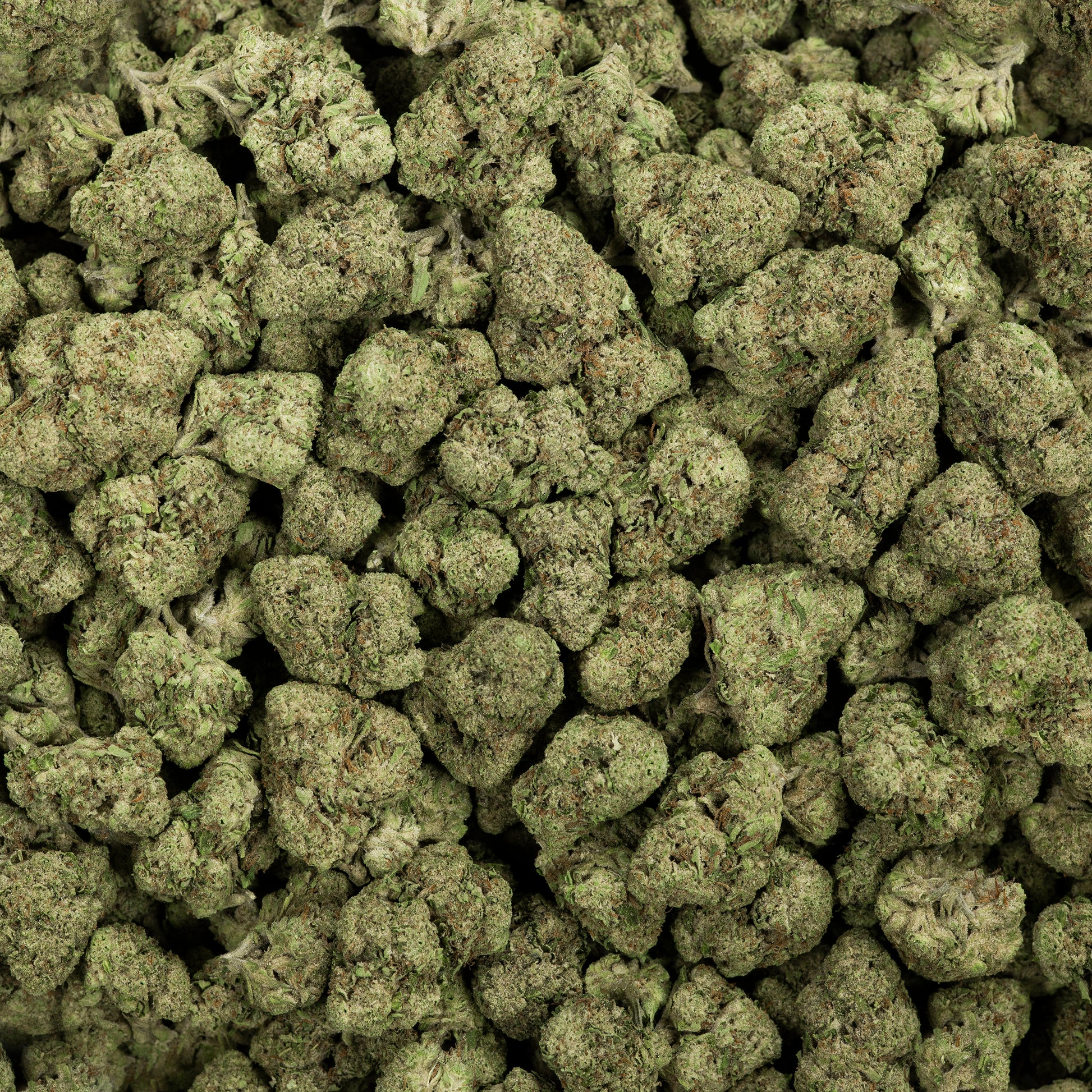 Revelry Reserve Bulk | Curelato Hybrid THCA Flower 3