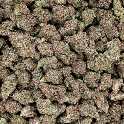 Devil's Gelato THCA Pre Rolls 14 Pack (Indoor)