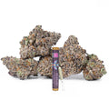 Devil's Gelato THCA Pre Rolls 2 Pack (Indoor)