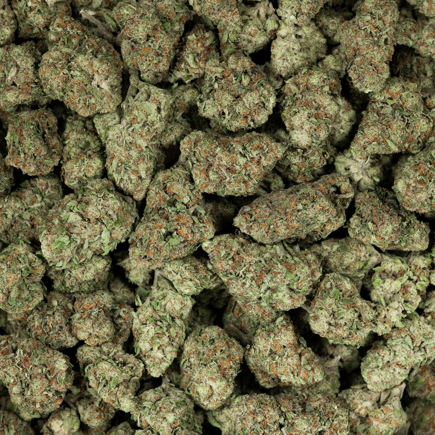 Revelry Reserve Bulk | Dosi Do Indica THCA Flower