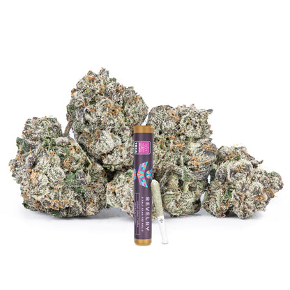 Frosted Runtz THCA Pre Rolls 2 Pack (Indoor)