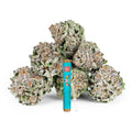 Lemon Cherry Gelato (LCG) THCA Pre Rolls 2 Pack (Indoor)