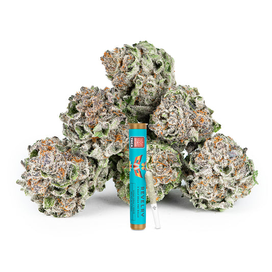 Lemon Cherry Gelato (LCG) THCA Pre Rolls 2 Pack (Indoor)