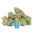 Passion Fruit Punch THCA Pre Rolls 7 Pack (Indoor)
