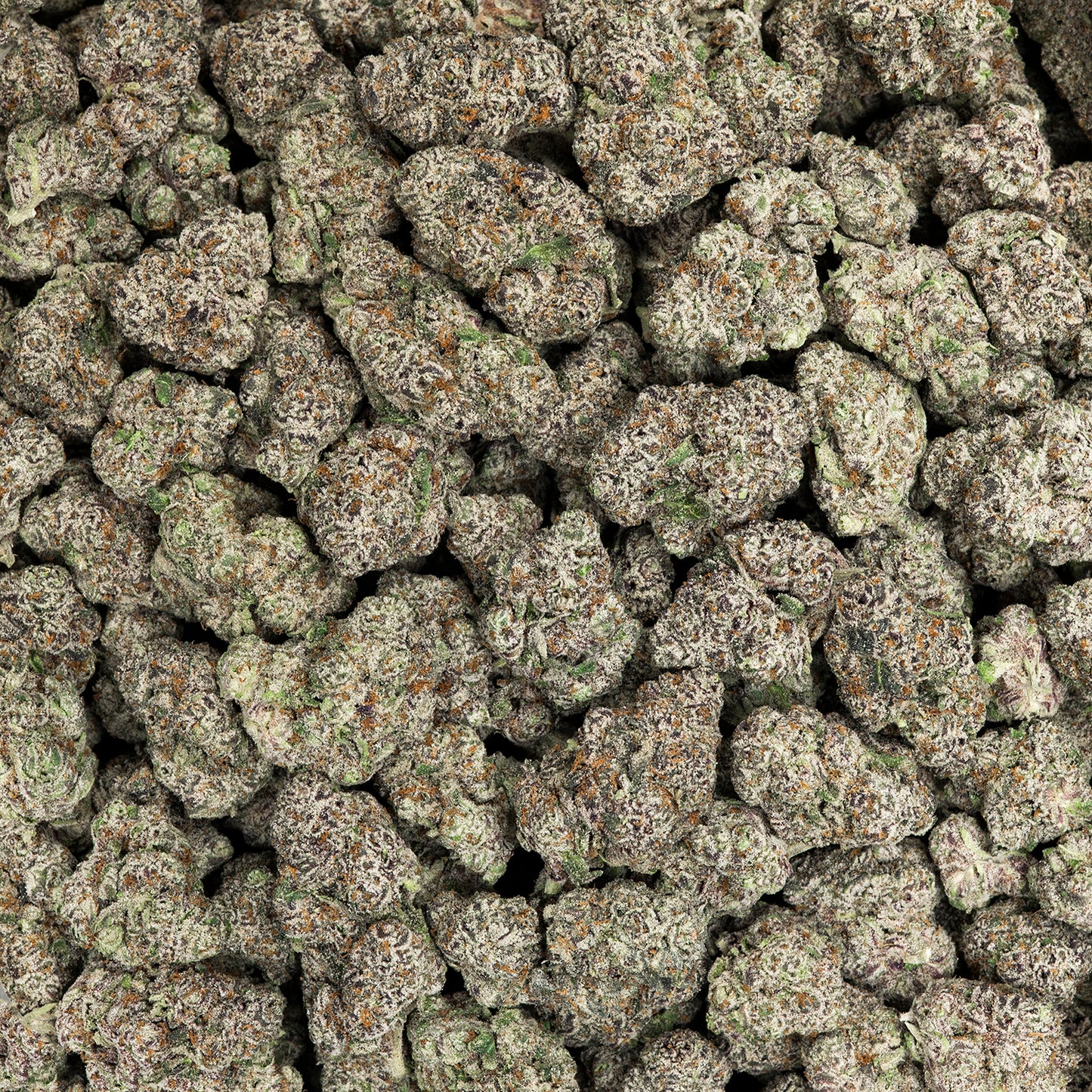 Twisted Mint THCA Flower (Indoor)