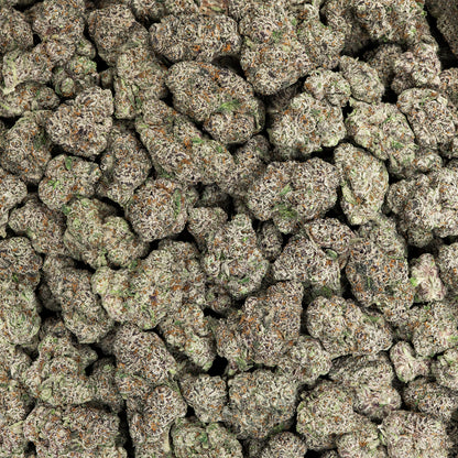 Twisted Mint THCA Flower (Indoor)