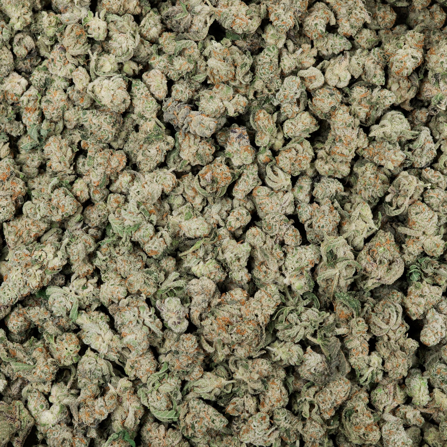 Wham Berries THCA Flower Small Buds (Indoor)