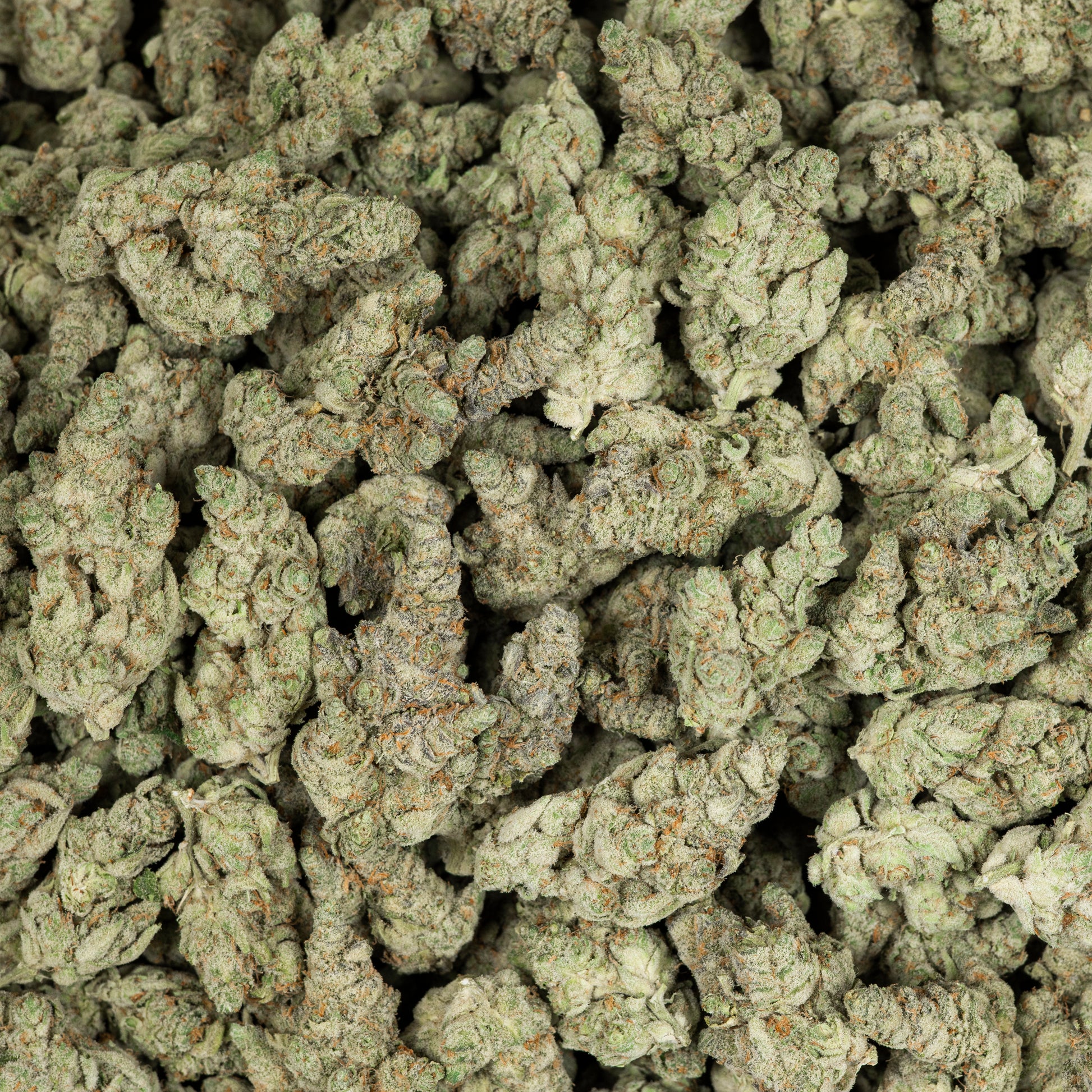 White Gummies AAA THCA Flower (Indoor) 3