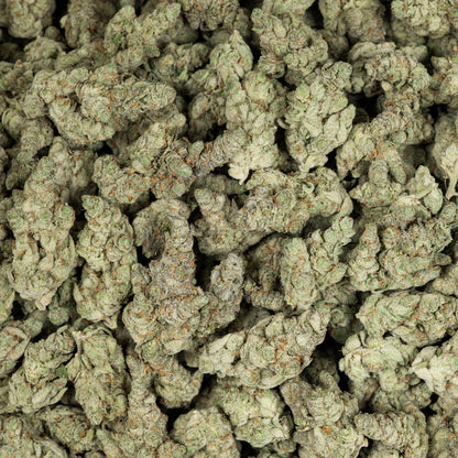 White Gummies AAA THCA Flower (Indoor) media-3