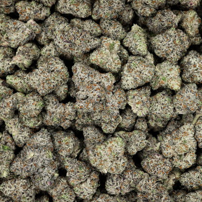 White Truffle THCA Flower (Indoor)
