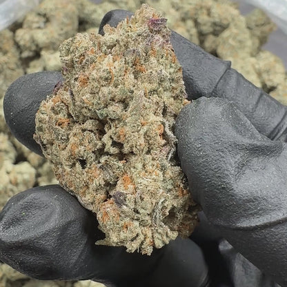 Revelry Reserve | Jungle Juice Sativa THCA Flower