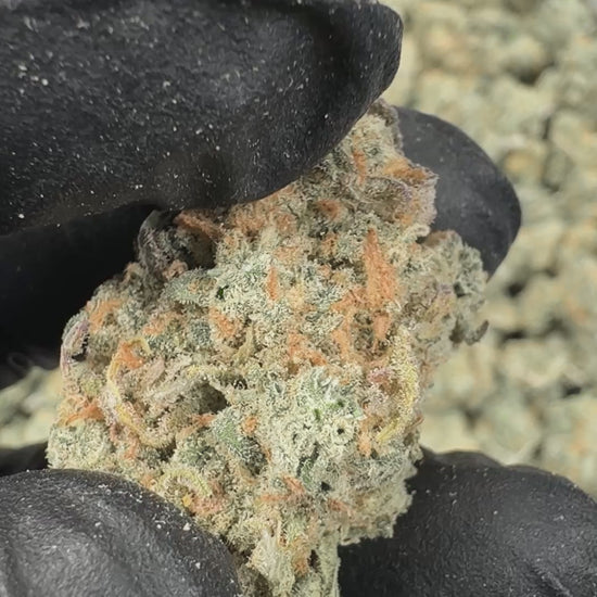 Blue Dream Smalls Video