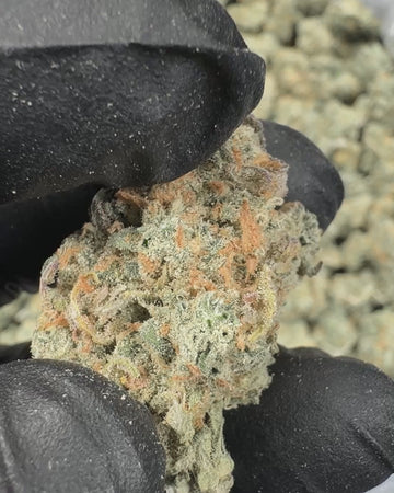 Blue Dream Smalls Video
