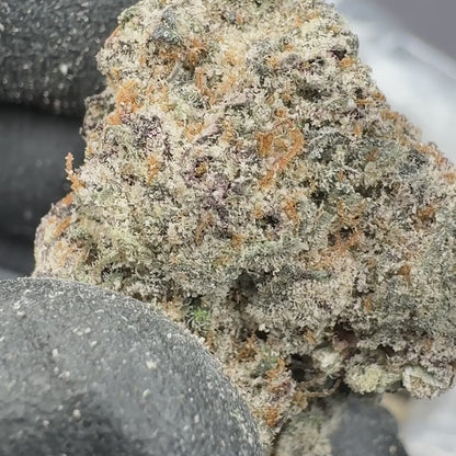 Twisted Mint Exotic Indica THCA Flower (Indoor)