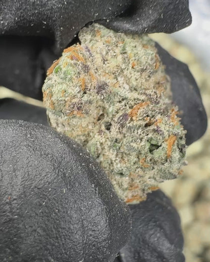 Pink Guava THCA Flower Small Buds (Indoor) media-2