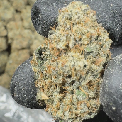 Blueberry Cheesecake AAA Sativa THCA Flower (Indoor)