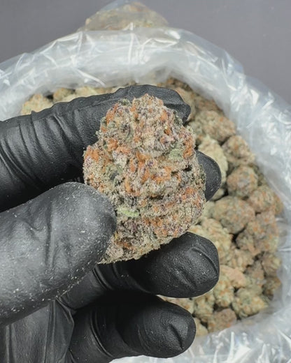Blueberry Pancakes THCA Flower (Indoor)