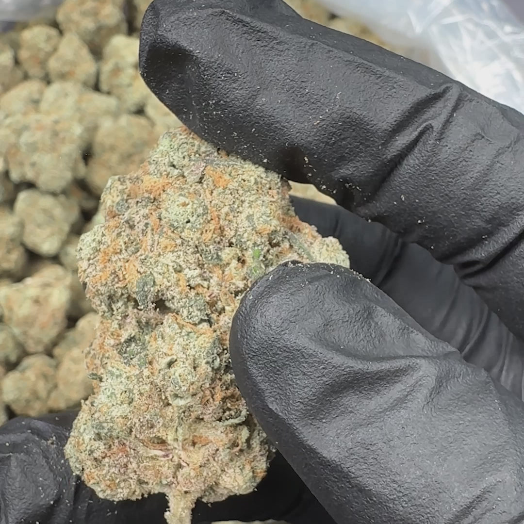 Cherry Gas Marker Exotic Sativa THCA Flower (Indoor)