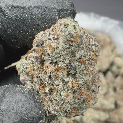 Glitterati Exotic Bulk Hybrid THCA Flower (Indoor)