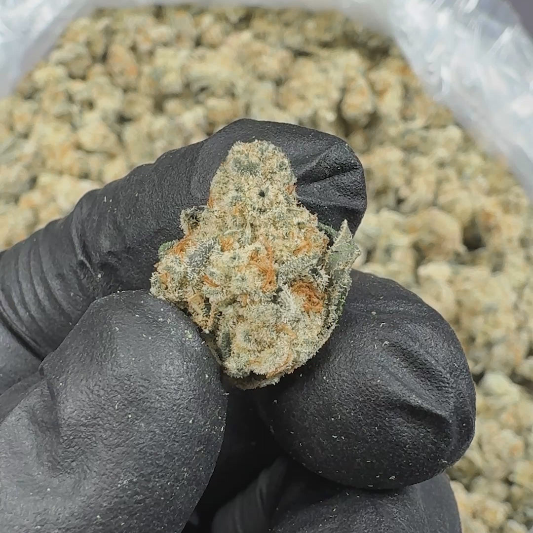 Wham Berries Hybrid THCA Flower Small Buds (Indoor)